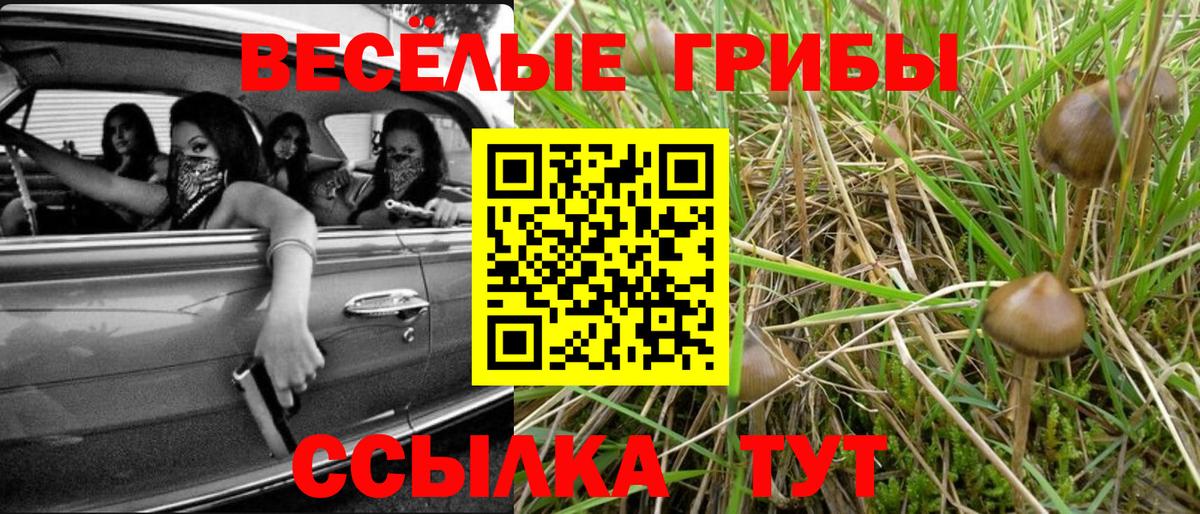 хочу   Псилоцибиновые грибы ЛСД  Вход с VPN  Копейск  Галлюциногенные грибы Psilocybine cubensis 