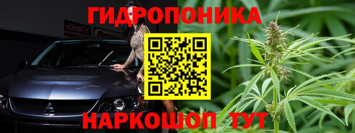 Бошки марихуана ГИДРОПОН Копейск